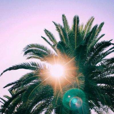 半岛综合体育·官方网站